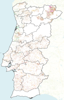 Spatial distribution of labels within Portugal.